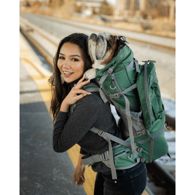 Рюкзак переноска  для собак Colossus| Big Dog Carrier & Backpacking Pack - зеленый 
