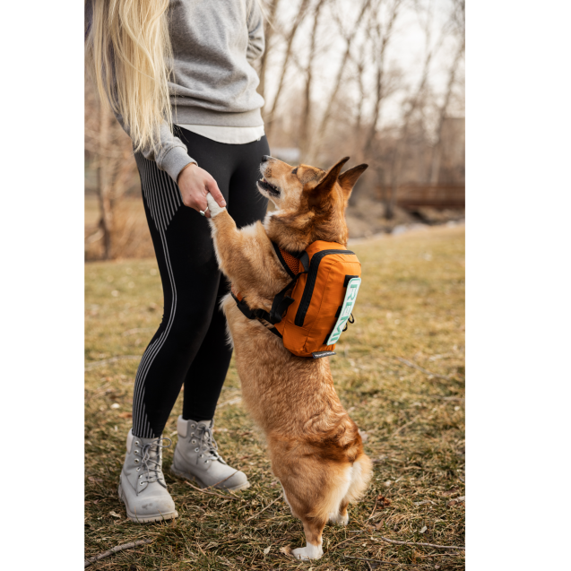 Рюкзак сумка переноска для собак три в одном K9 Sport Sack® Walk-On -черный 